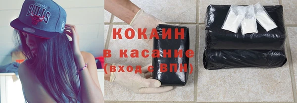 прущие грибы Каменск-Шахтинский