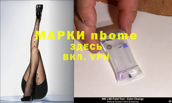 прущие грибы Каменск-Шахтинский