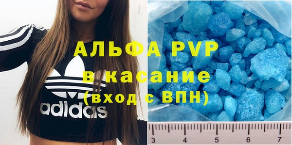 прущие грибы Каменск-Шахтинский
