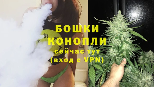 прущие грибы Каменск-Шахтинский