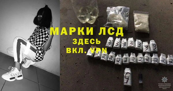 прущие грибы Каменск-Шахтинский