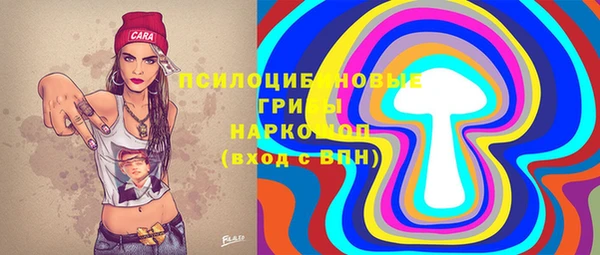 прущие грибы Каменск-Шахтинский